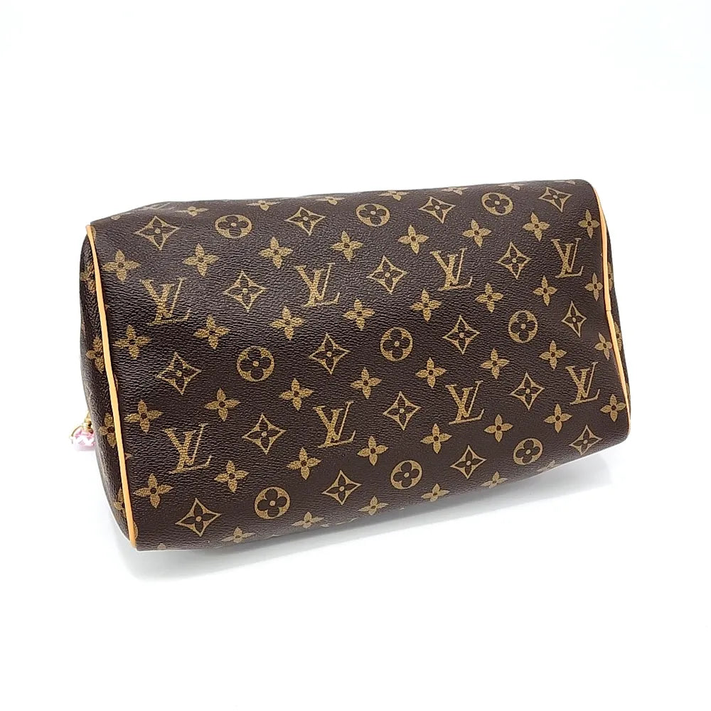 Louis Vuitton Borsa