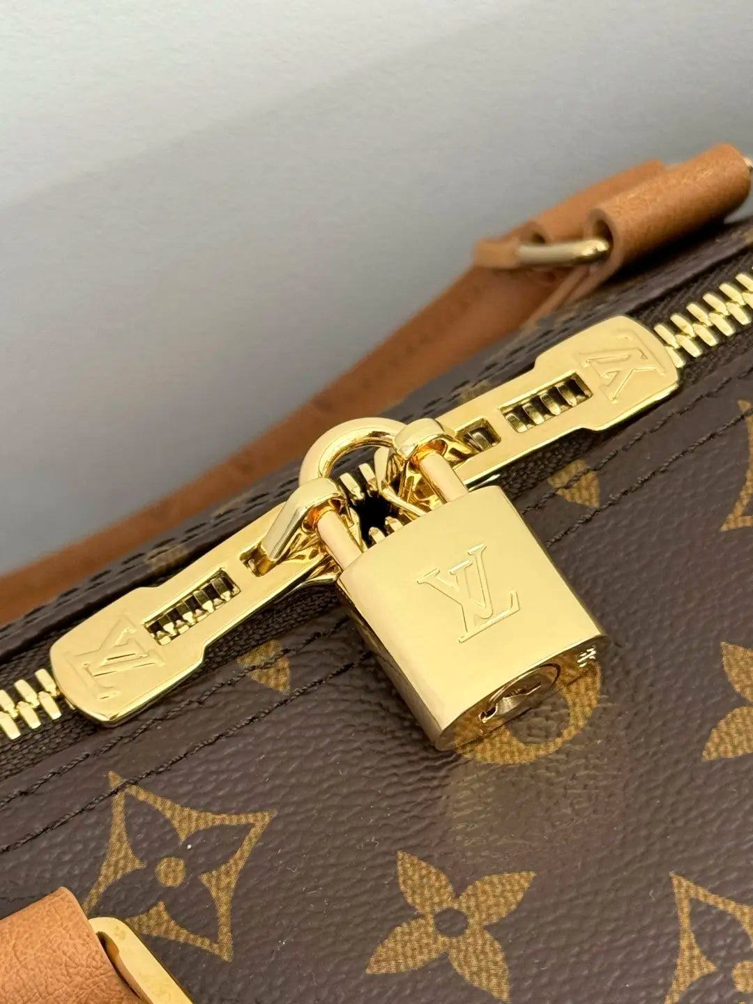 Louis Vuitton Borsa