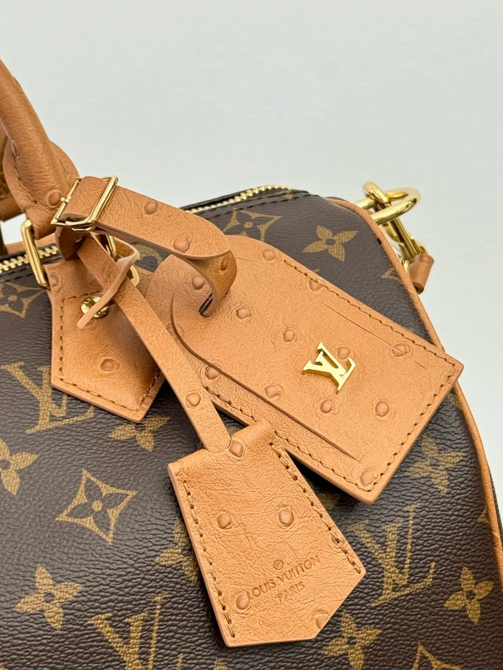 Louis Vuitton Borsa