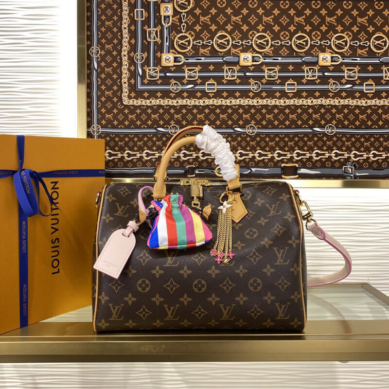 Louis Vuitton Speedy Soft Borsa