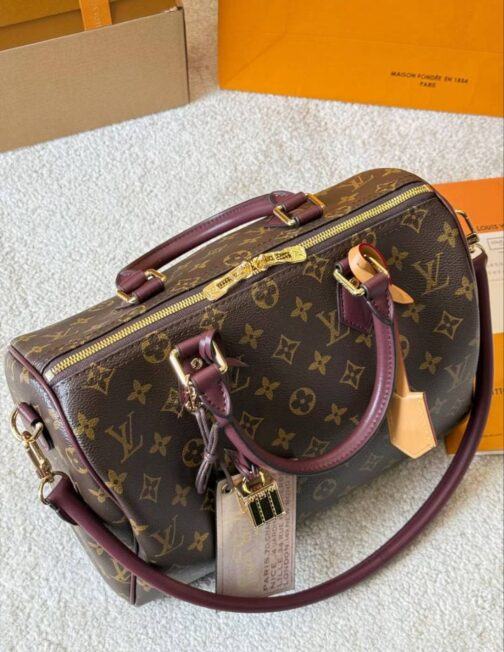Louis Vuitton Borsa